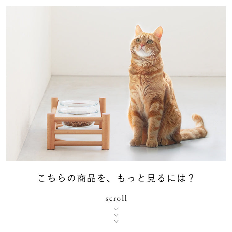 aina ペットフードスタンド ilmaa