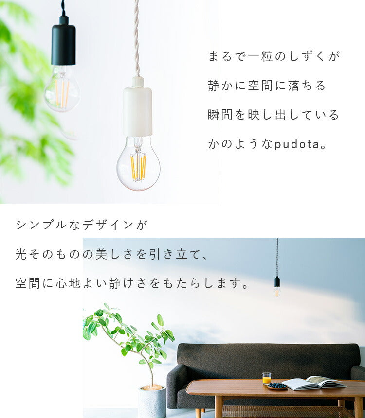 aina ペンダントライト pudota プドタ