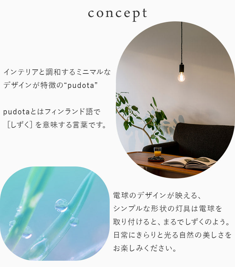 aina ペンダントライト pudota プドタ