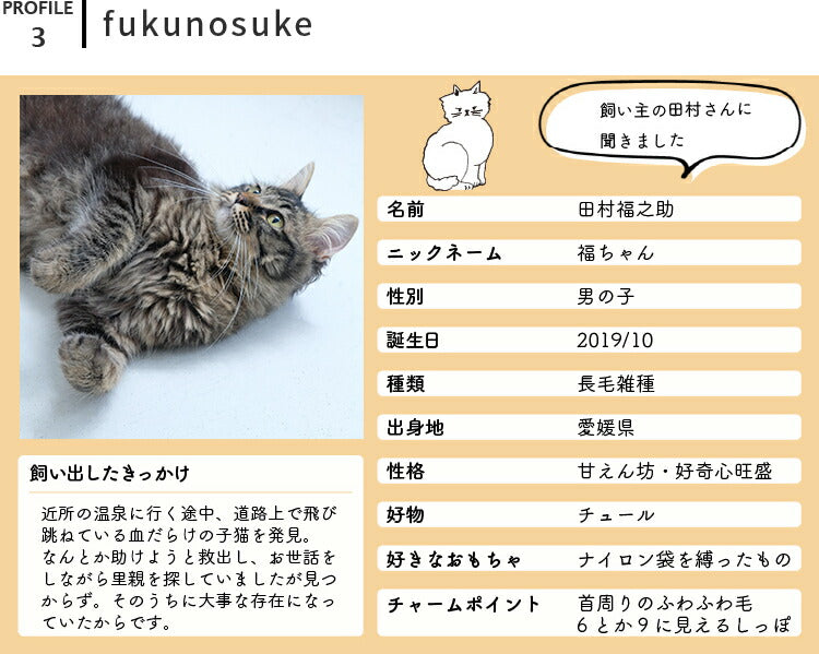 aina コーヒー缶225g familj ファミーリ