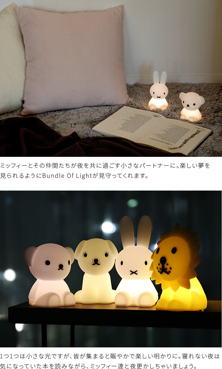 Bundle Of Light
