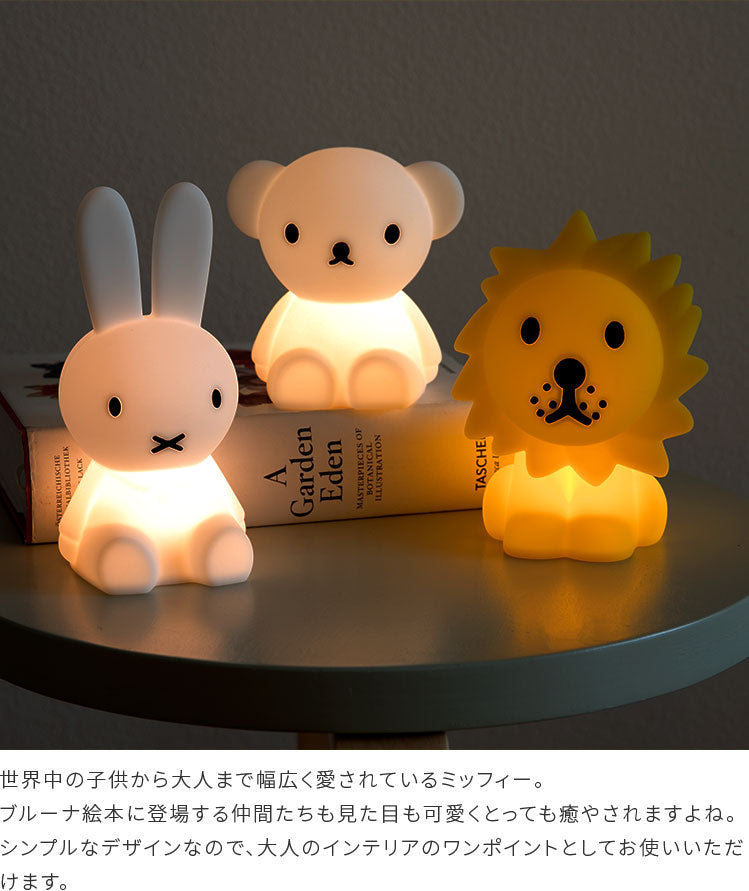 Bundle Of Light
