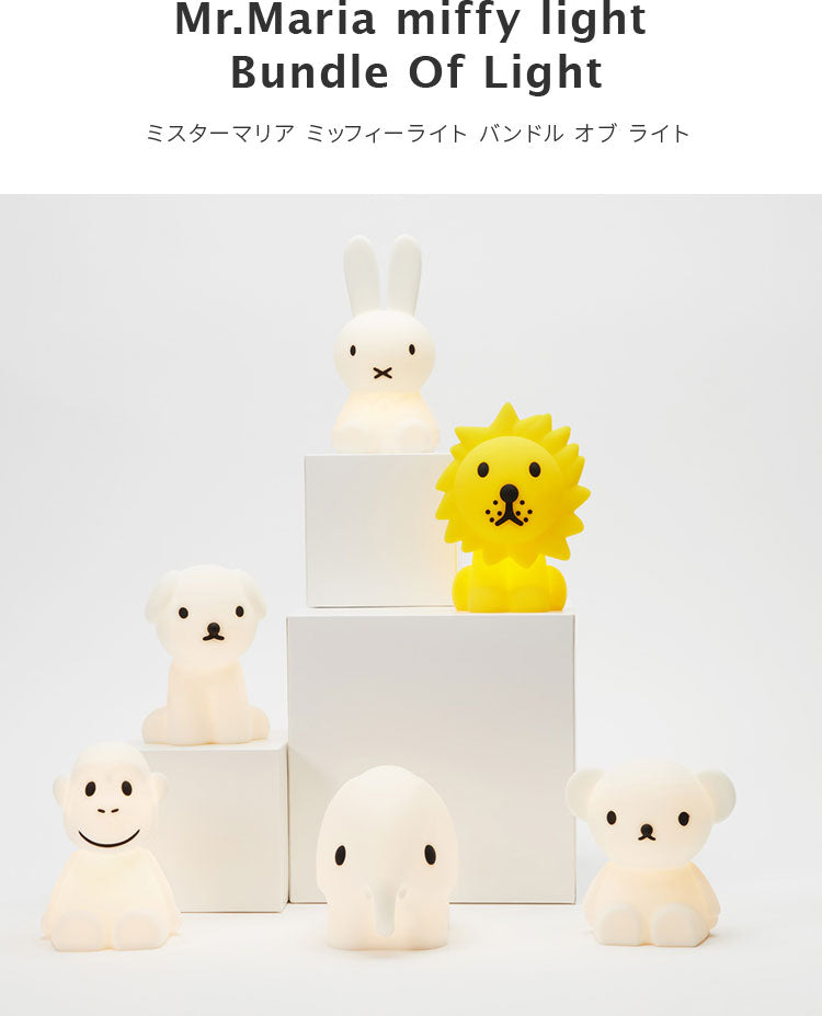 Bundle Of Light