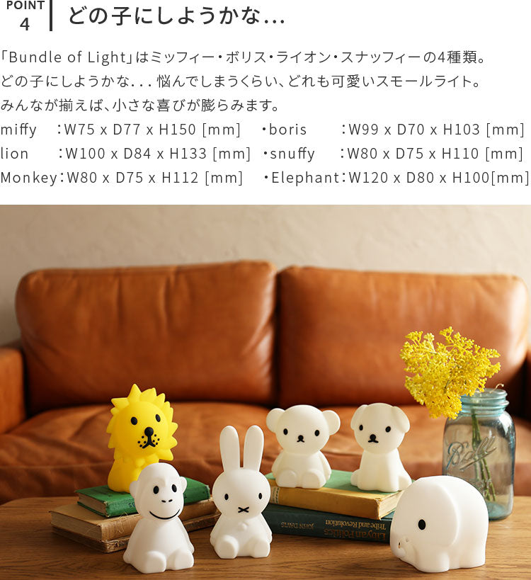 Bundle Of Light