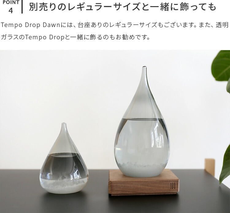 Tempo Drop Dawn mini
