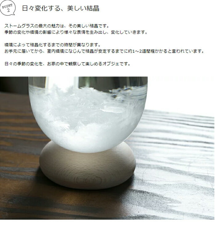 テンポパルス