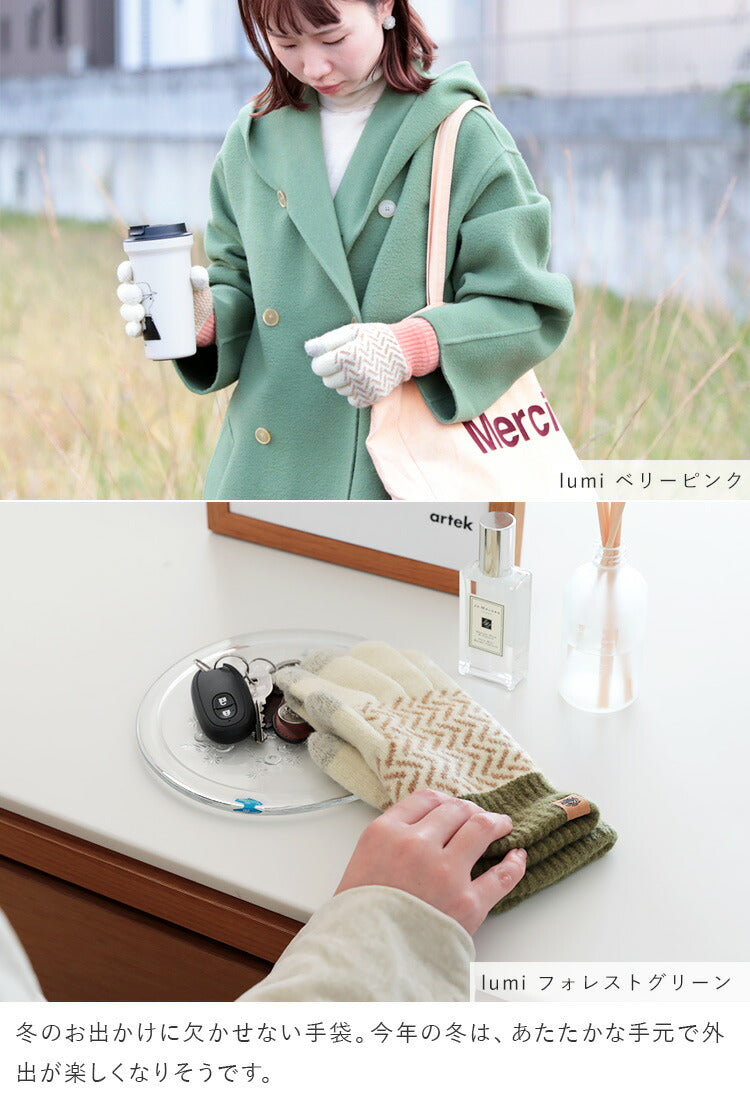 Tehtava スマホ用手袋 タッチグローブ