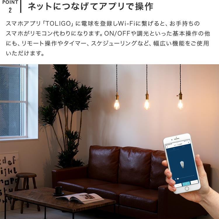 TOLIGO 調光エジソン電球 E26