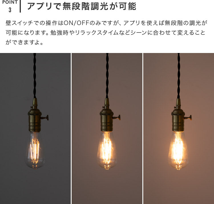 TOLIGO 調光エジソン電球 E26