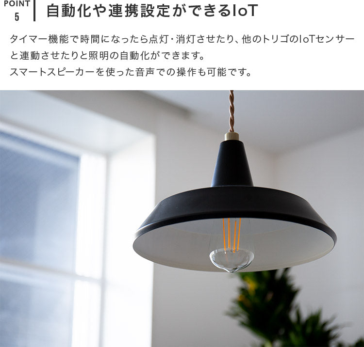 TOLIGO 調光エジソン電球 E26