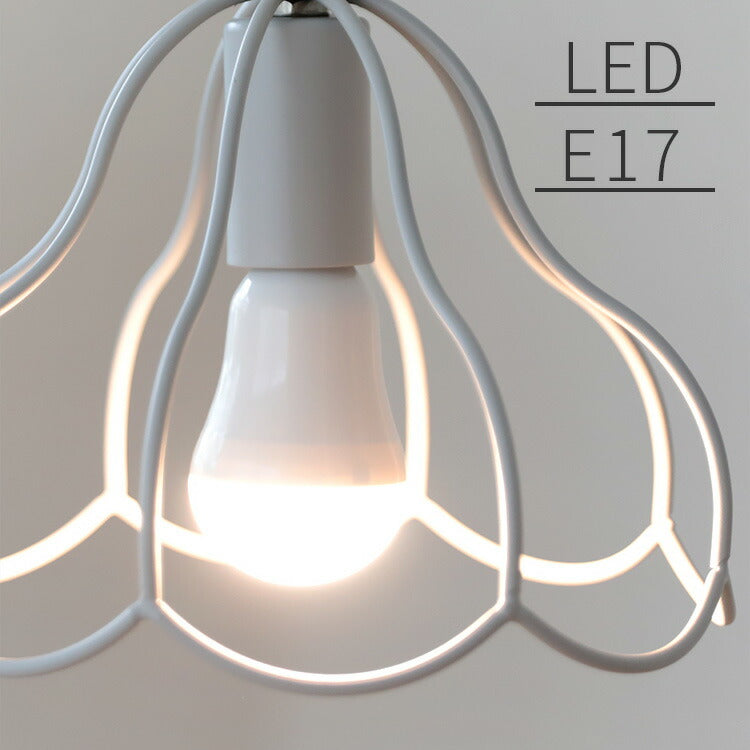 E17 LED電球 500lm