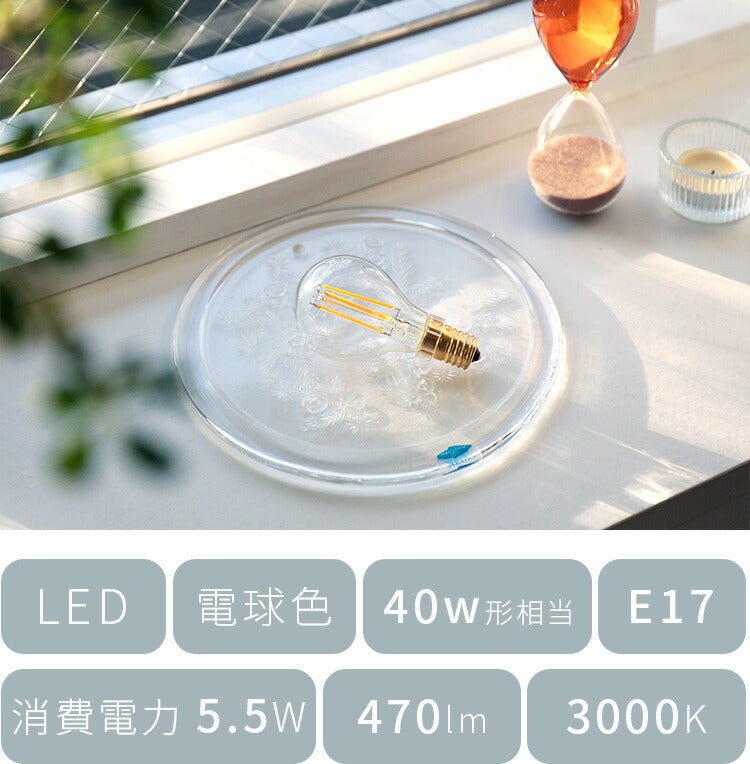 E17 LEDエジソン電球 470lm