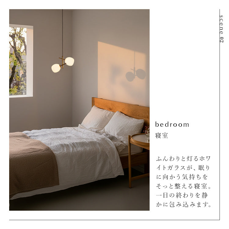 schon ペンダントライト2灯 beere ベーレ