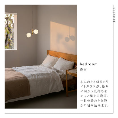 schon ペンダントライト2灯 beere ベーレ