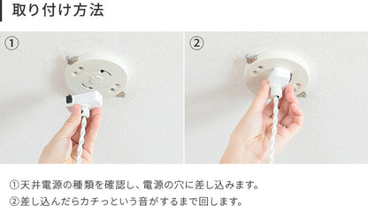 pelata ペンダントライト donitsi ドニツィ