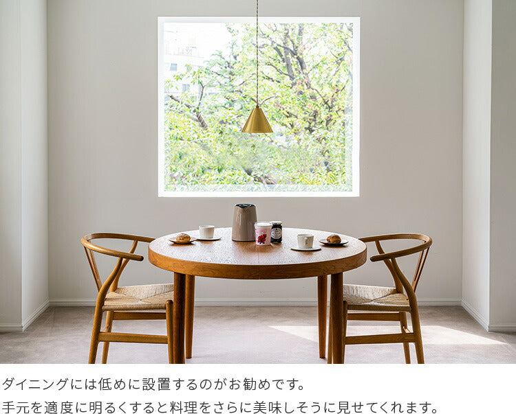 ペンダントライト 1灯 onda オンダ