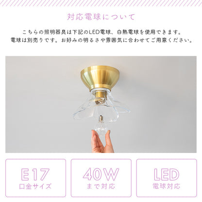 pelata シーリングライト1灯 lilac ライラック