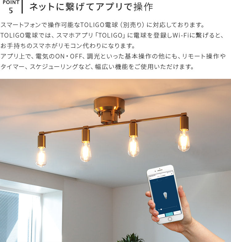 Roanoke ロアノーク シーリングライト 5灯 LED照明 可動式 モダン