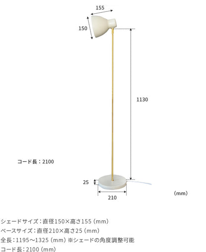 schon フロアライト seeni シーニ