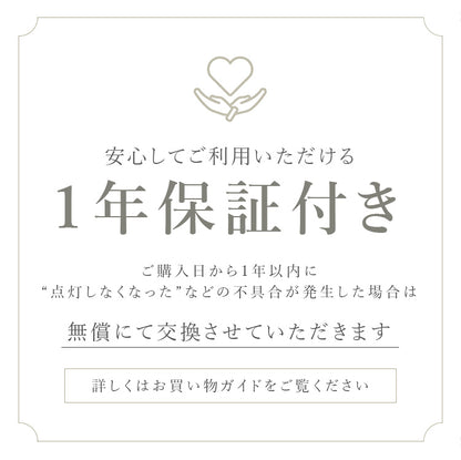 schon ブラケットライト1灯 tau タウ