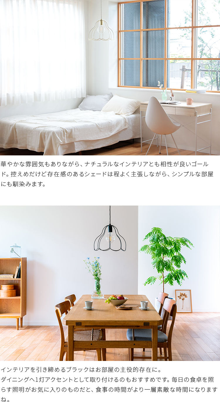 a75tulppaani-l_16.jpg?v=