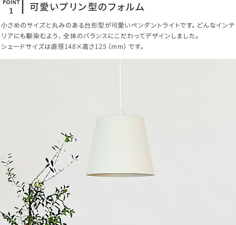 aina ペンダントライト vanukas ヴァヌカス 3個セット