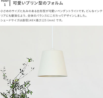 aina ペンダントライト vanukas ヴァヌカス 3個セット