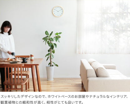 aina 掛け時計 loma ロマ