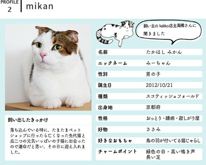 aina コーヒー缶225g familj ファミーリ