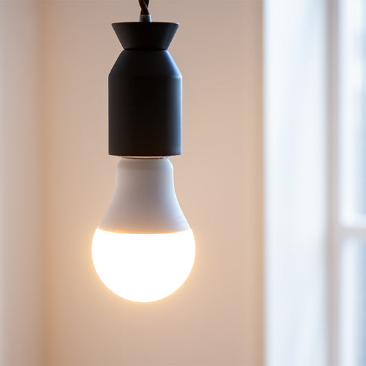 LED電球 E26（810lm・60W相当）