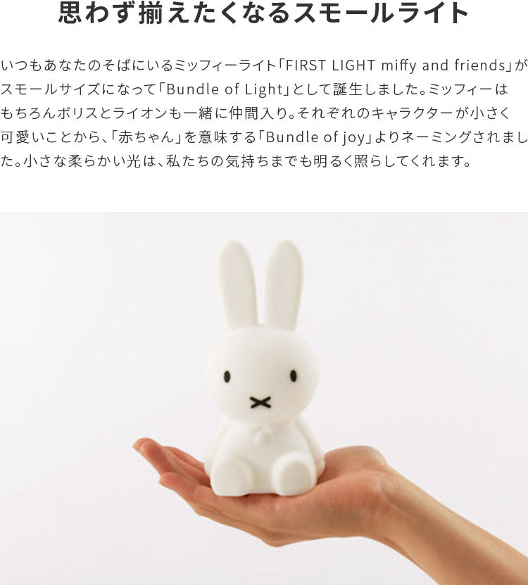 Bundle Of Light
