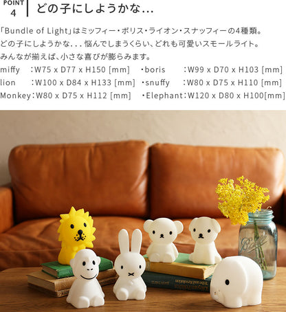 Bundle Of Light
