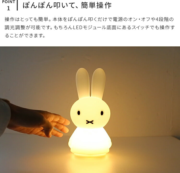 Miffy Shines