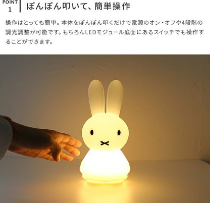 Miffy Shines