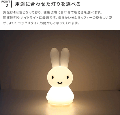 Miffy Shines