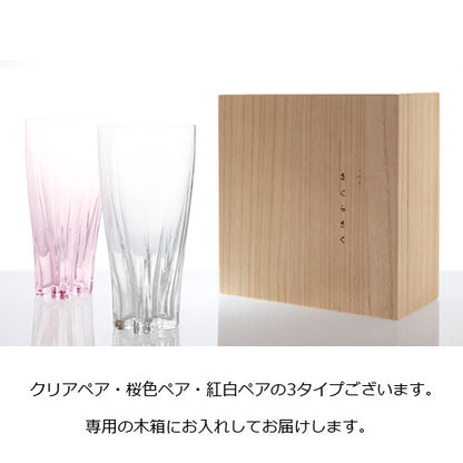 さくらさく ピルスナー