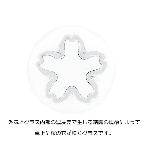 さくらさく ロック
