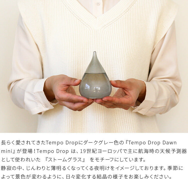【マミムウです】ストリングティング  スノーキャンディー snow peak (スノーピーク) Ti-Single 450 Wall Cup TT / チタン