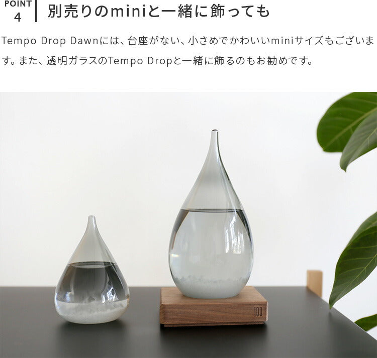 Tempo Drop Dawn