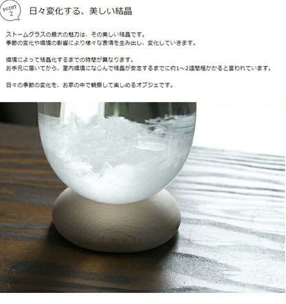 テンポパルス