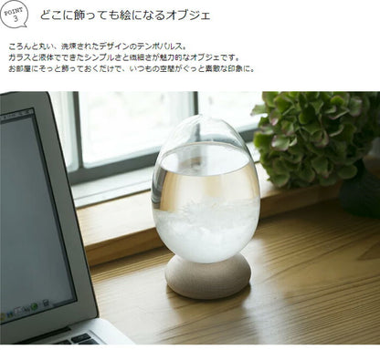 テンポパルス