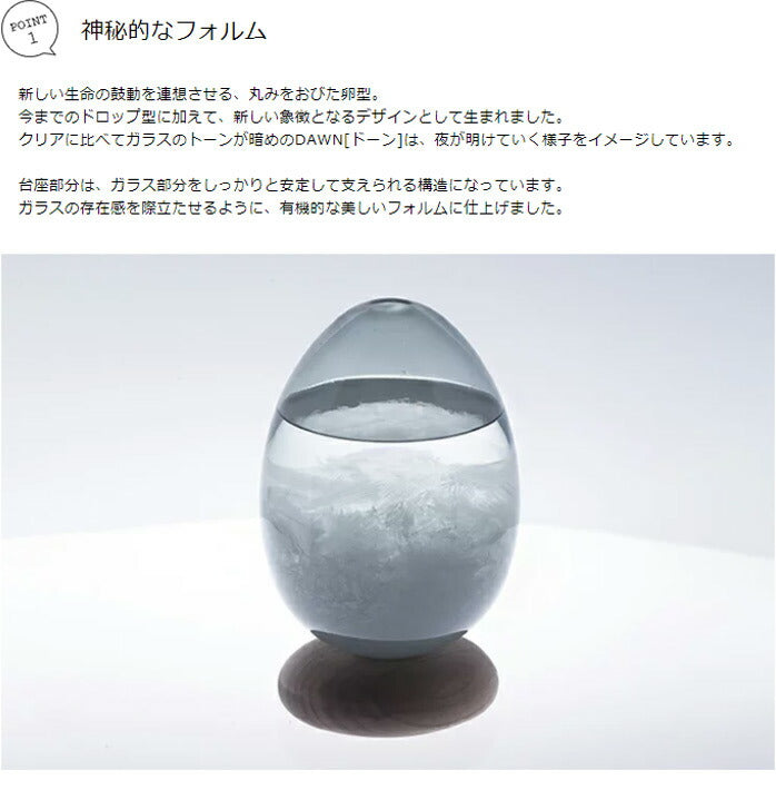 テンポパルス