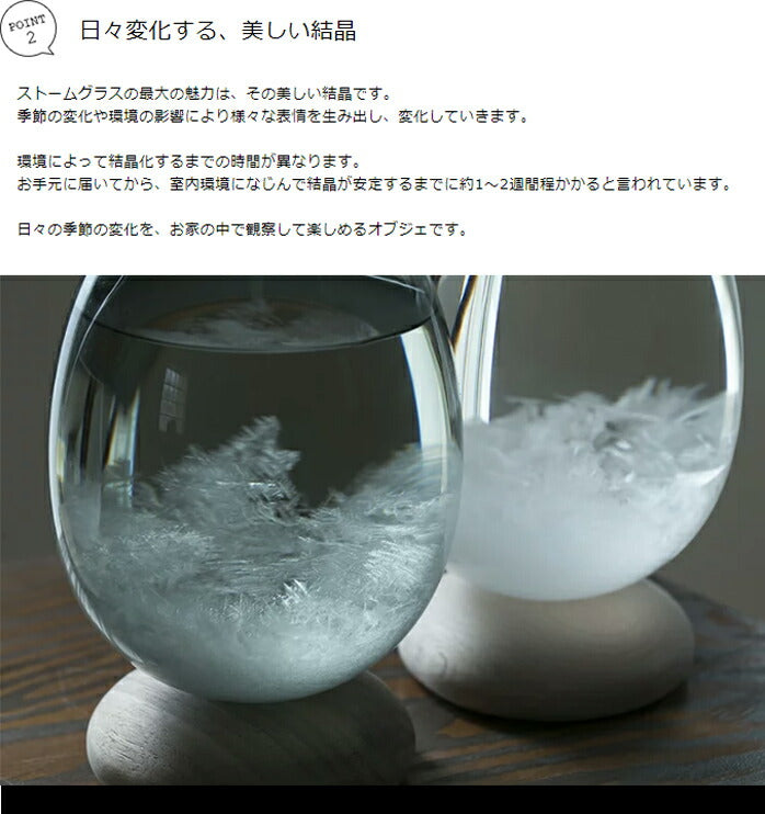 テンポパルス