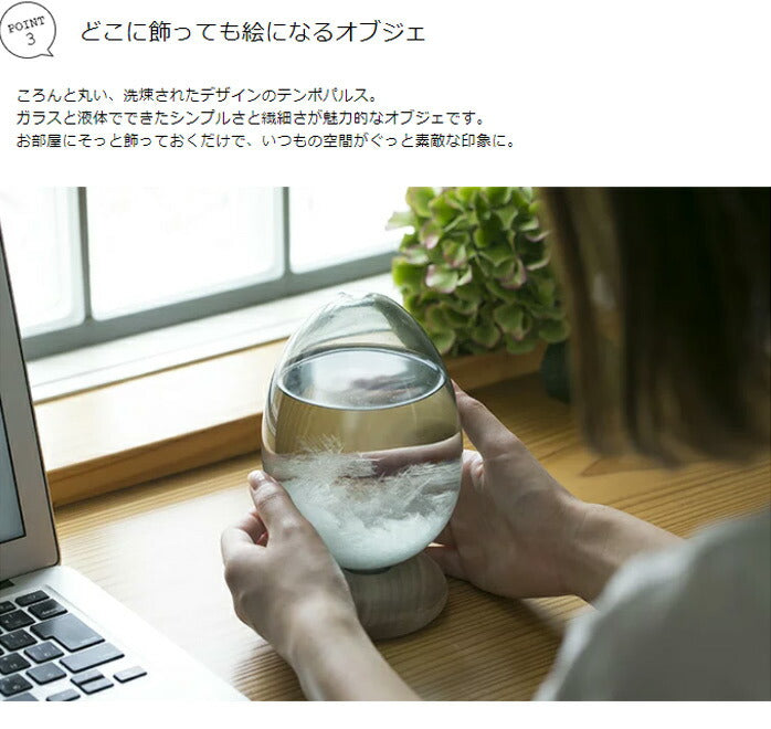 テンポパルス