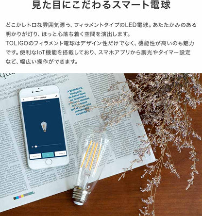 TOLIGO 調光エジソン電球 E26