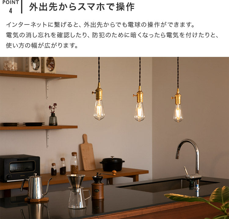 TOLIGO 調光エジソン電球 E26